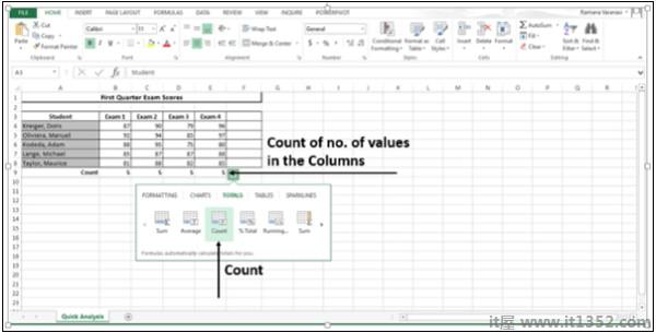 Count Number Of Values in Columns