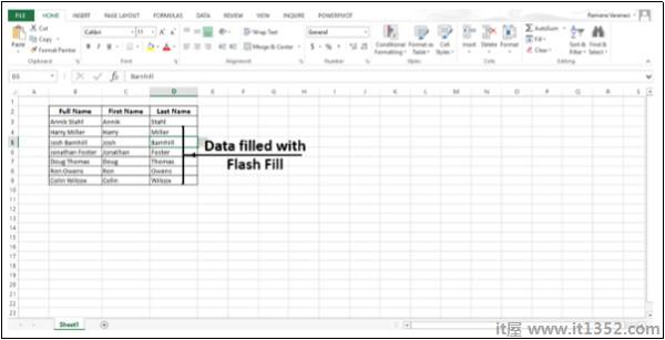 Data Fileld With Flash-fil
