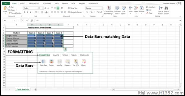Formatting Data Bar