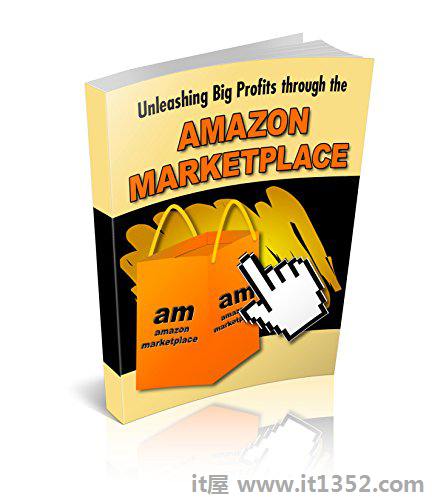 Unleashing Big Profits through AMAZON MARKETPLACE