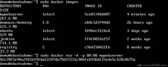 Docker Run Command