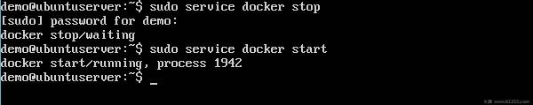 Service Docker Start