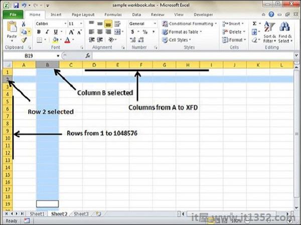 Rows and Columns in MS Excel