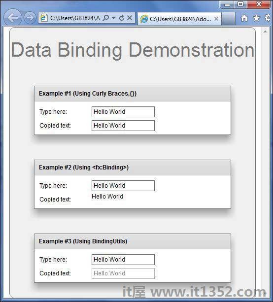 Flex Data Binding