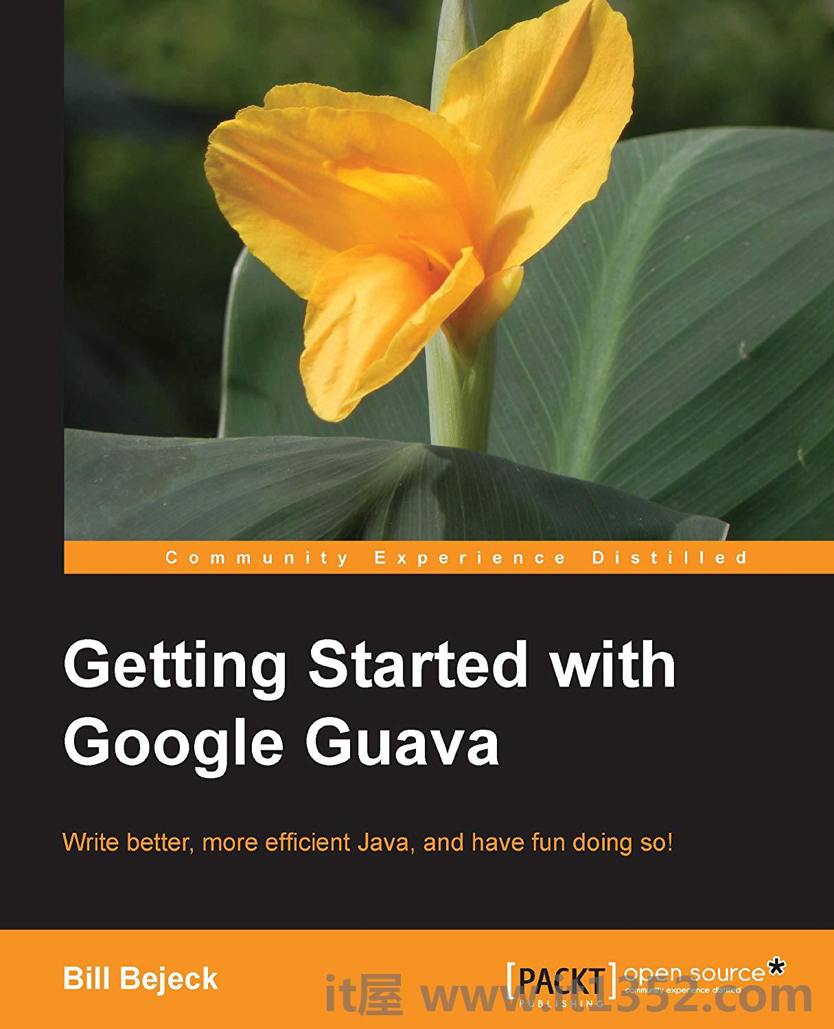 Google Guava入门