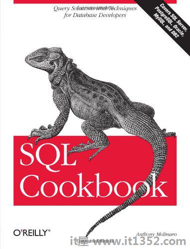 SQL Cookbook(Cookbooks(O'Reilly))