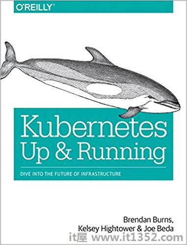 Kubernetes:启动并运行:潜入基础设施的未来