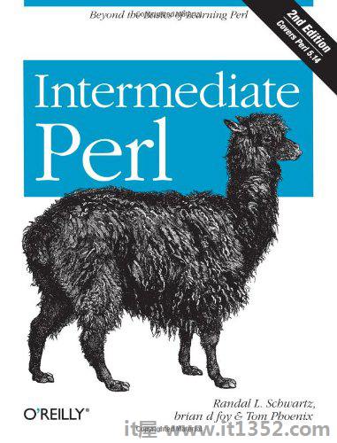 Inte rmediate Perl