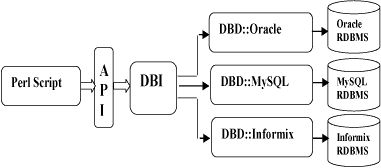 Perl数据库模块DBI体系结构