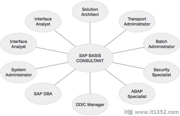  SAP Basis Consultant