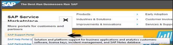 SAP Businesses