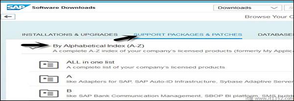 SAP软件下载