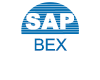 SAP Bex教程