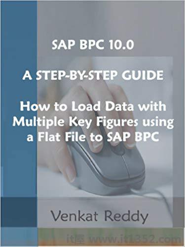 SAP BPC 10.0逐步指南