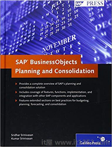 SAP Business Objects Planning and Consolidation