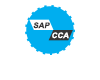 SAP CCA教程