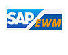 SAP EWM教程