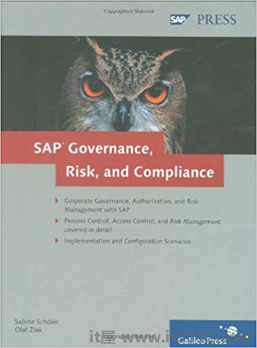 SAP治理，风险和合规性