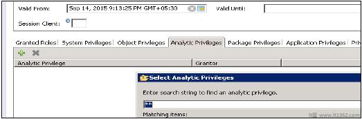 Analytic Privileges