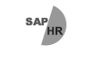 SAP HR教程