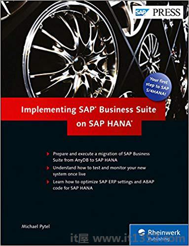 在SAP HANA上实施SAP Business Suite