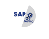 SAP测试教程