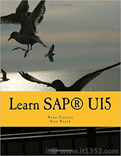 学习SAP®UI5