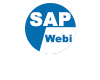 SAP Webi教程