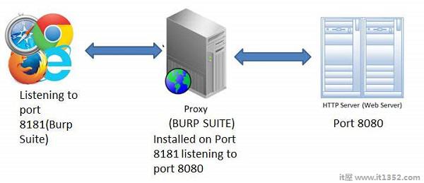 BURP Suite下载