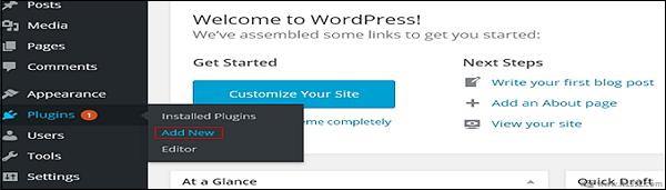 wordPress custom plugins